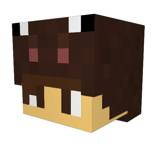 Lil_Pandaaa Minecraft avatar head, 3D render