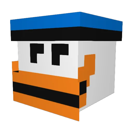 Lil_Parrot Minecraft avatar head, 3D render