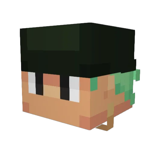 Lil_Ravi Minecraft avatar head, 3D render
