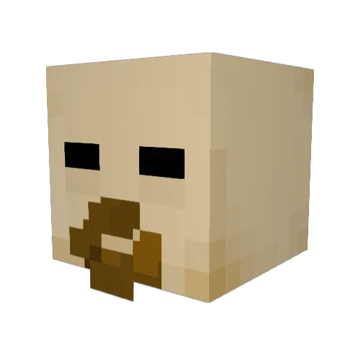 Lil_Ribz Minecraft avatar head, 3D render