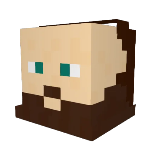 Lil_Ronin Minecraft avatar head, 3D render