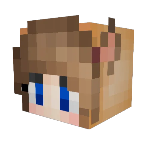 Lil_Shnumper Minecraft avatar head, 3D render