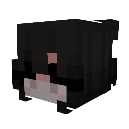 Lil_Snowflake Minecraft avatar head, 3D render