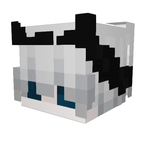 Lil_Soup69 Minecraft avatar head, 3D render
