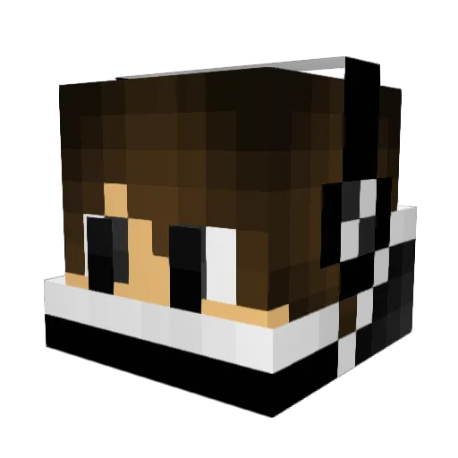 Lil_Tank2 Minecraft avatar head, 3D render