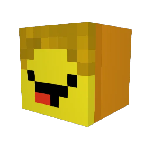 Lil_Tinman Minecraft avatar head, 3D render
