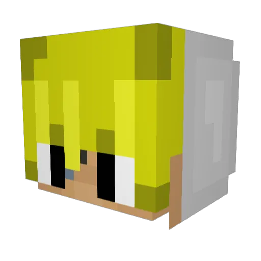 Lil_Trco Minecraft avatar head, 3D render