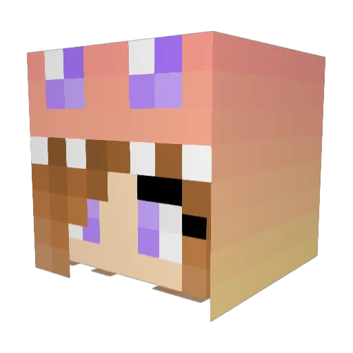 Lil_Wink Minecraft avatar head, 3D render