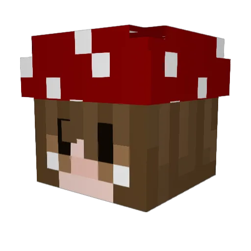 Lil_net27 Minecraft avatar head, 3D render