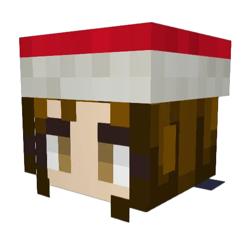 Lil_tiger325 Minecraft avatar head, 3D render