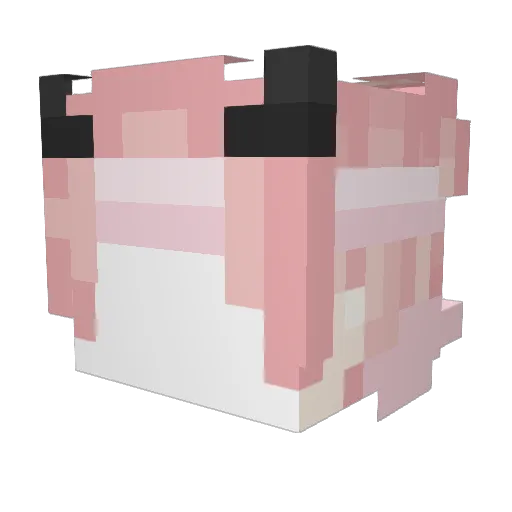 Lil_timmy72 Minecraft avatar head, 3D render