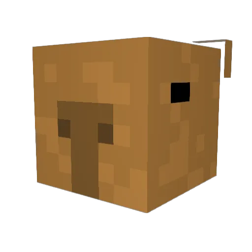 Lila11226 Minecraft avatar head, 3D render