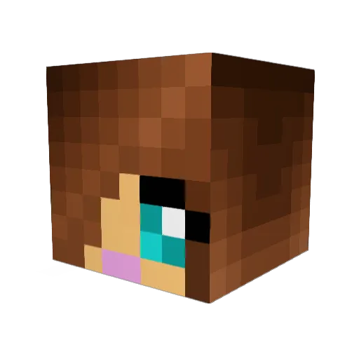 Lila1993 Minecraft avatar head, 3D render