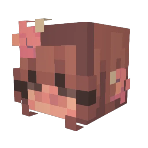 Lila345 Minecraft avatar head, 3D render