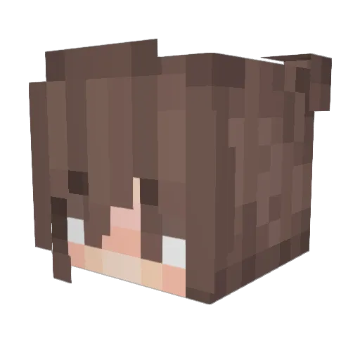 Lilac2530 Minecraft avatar head, 3D render