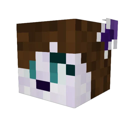 LilacStarvix Minecraft avatar head, 3D render