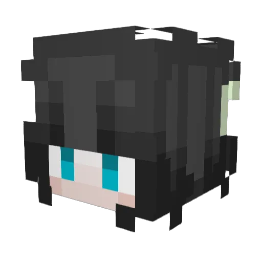Lilba_6144 Minecraft avatar head, 3D render