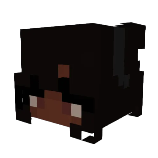 Lilbaggett253 Minecraft avatar head, 3D render