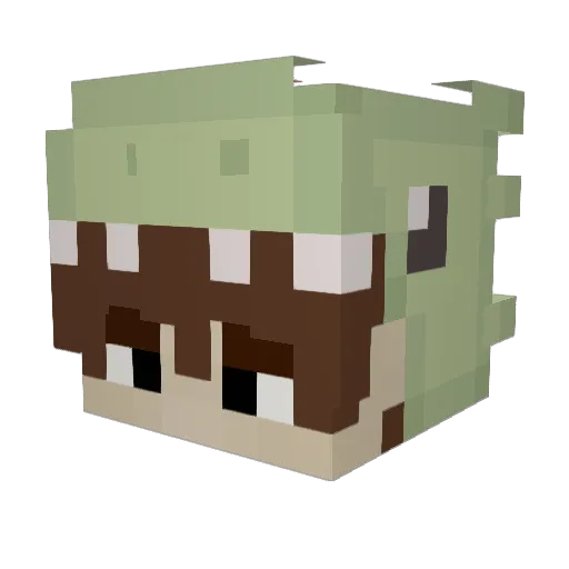 Lilbeastboi13 Minecraft avatar head, 3D render