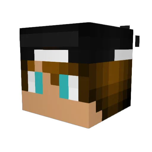 Lilbin Minecraft avatar head, 3D render