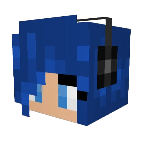 Lilbocurtains14 Minecraft avatar head, 3D render