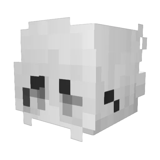 Lilbra2510 Minecraft avatar head, 3D render