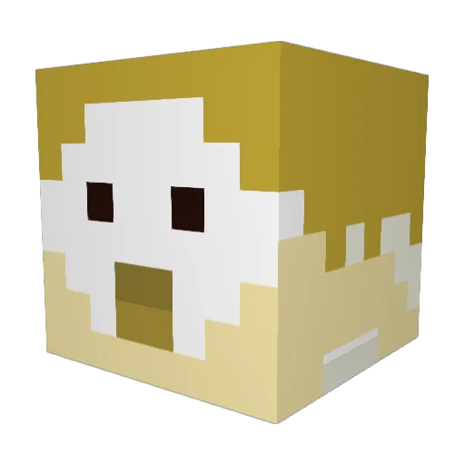 Lilbro01 Minecraft avatar head, 3D render