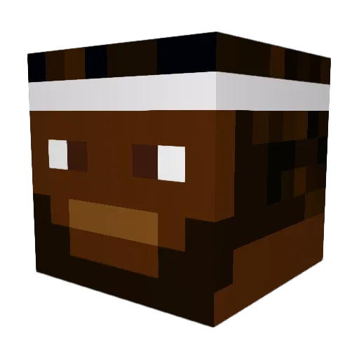 Lilchunks27 Minecraft avatar head, 3D render