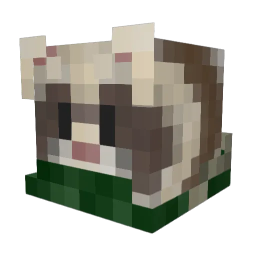 Lilcoonie Minecraft avatar head, 3D render