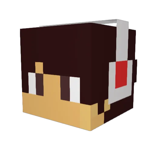 Lildom707 Minecraft avatar head, 3D render