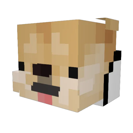 Lildragoncheese Minecraft avatar head, 3D render