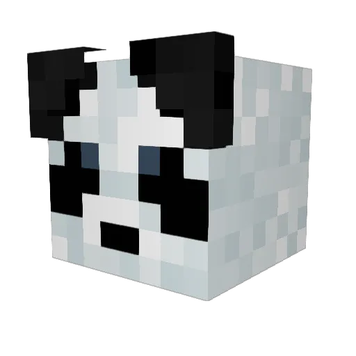 Lildwarf1 Minecraft avatar head, 3D render