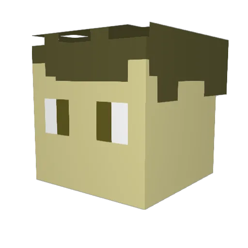 Lilemuiscool Minecraft avatar head, 3D render