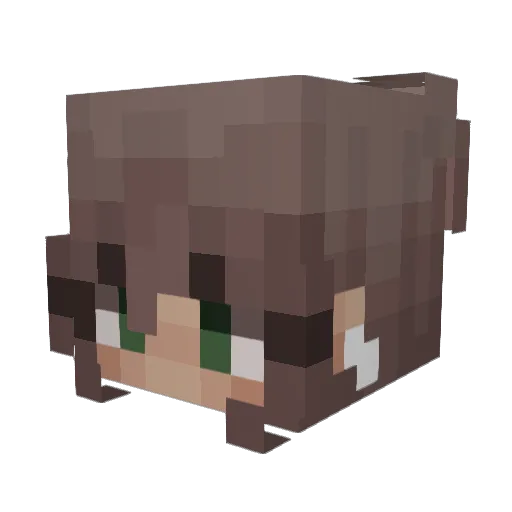 Lilfairiez Minecraft avatar head, 3D render