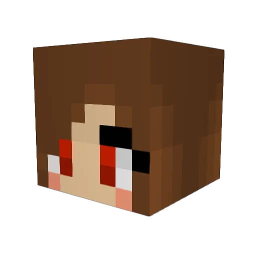 Lilfare Minecraft avatar head, 3D render