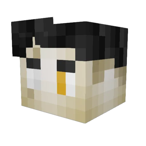 Lilhenry37 Minecraft avatar head, 3D render