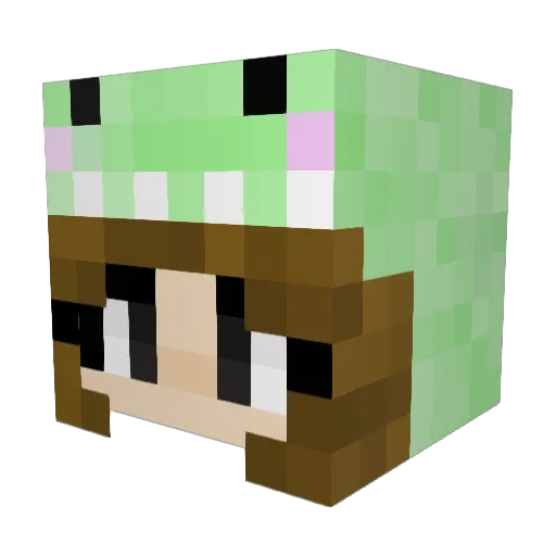 Lili101235 Minecraft avatar head, 3D render