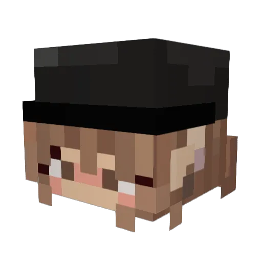 Lili2718 Minecraft avatar head, 3D render