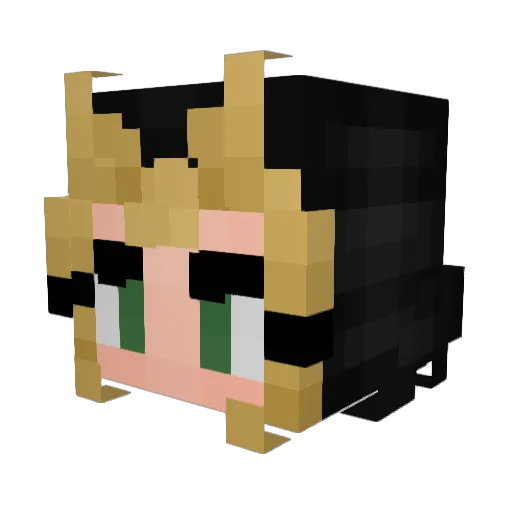 Lili32464 Minecraft avatar head, 3D render