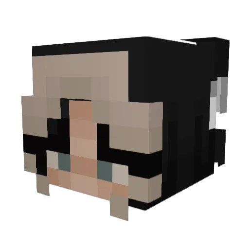 LiliLily2 Minecraft avatar head, 3D render