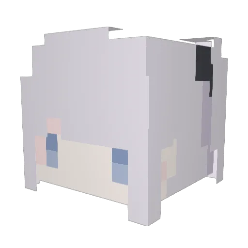 Lili_1911 Minecraft avatar head, 3D render