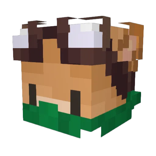 Lili_lutin Minecraft avatar head, 3D render