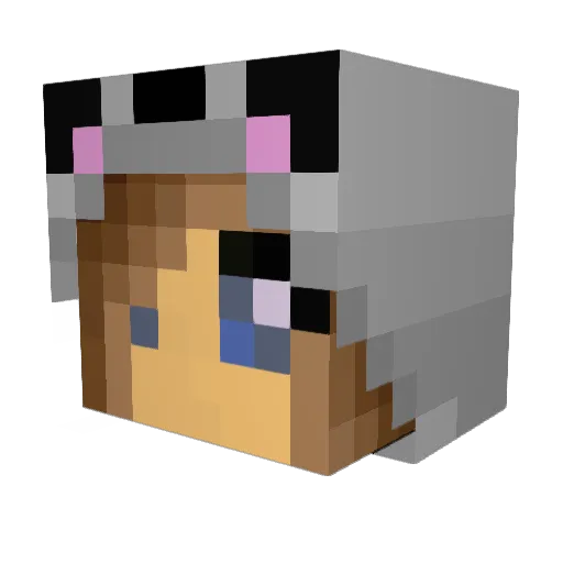 Liliales Minecraft avatar head, 3D render