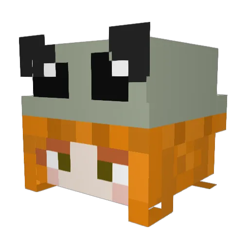 Liliano28 Minecraft avatar head, 3D render