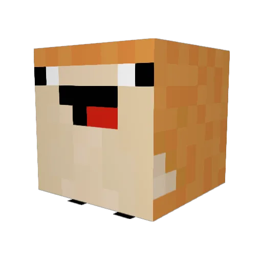 Lilibug9 Minecraft avatar head, 3D render