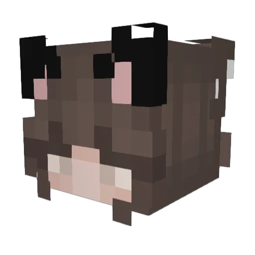 Liliputka69 Minecraft avatar head, 3D render
