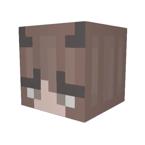 LilisDelRey Minecraft avatar head, 3D render