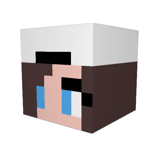 Lilita2000 Minecraft avatar head, 3D render