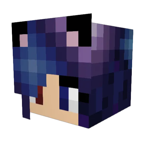 Lilithkitty Minecraft avatar head, 3D render