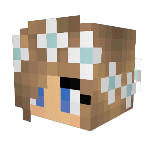 Lilje06 Minecraft avatar head, 3D render